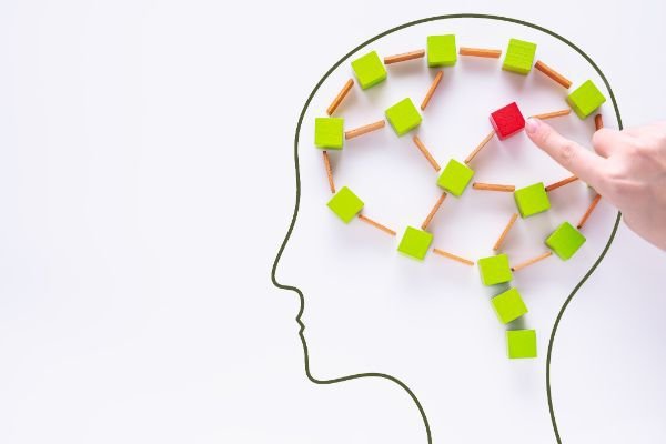 Understanding Traumatic Brain Injury